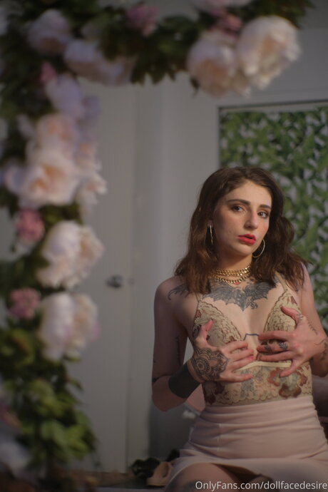 hase kostenlos nur fans nackt hd galerien