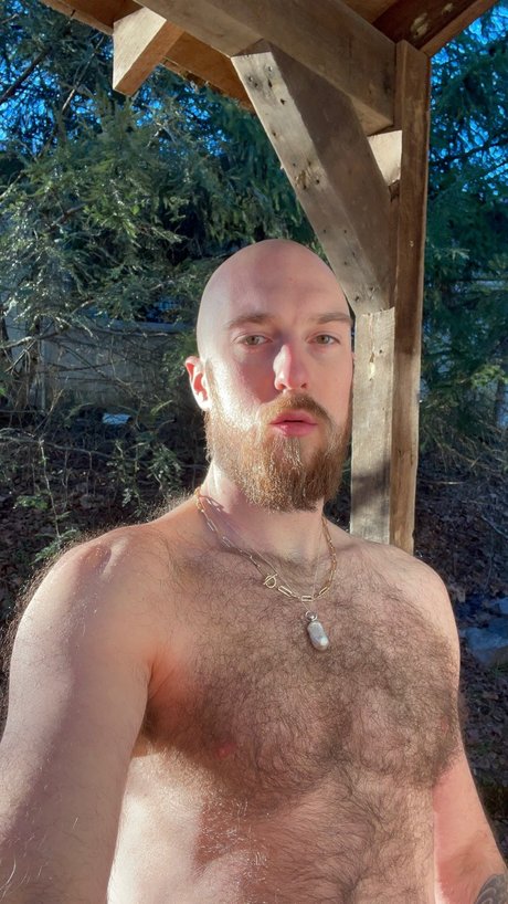 HouseHusband9000 kostenlose beste bild