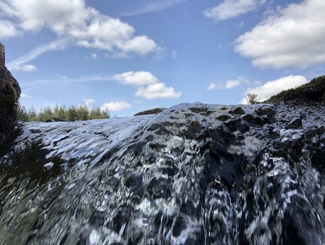 Rich Rowe pornostar kunst foto