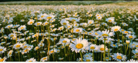 Remington Jane hd nackten galerie