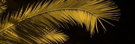 Oh Nose xxx sexy archiv