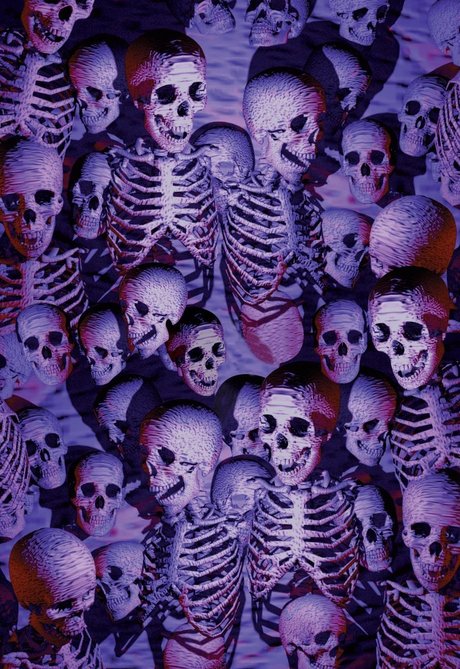 Ringmaster Sani freie nacktheit foto