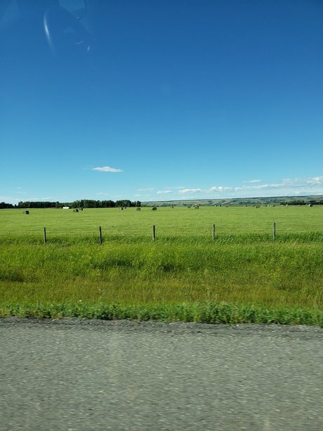 runnerphilv nackt hd foto