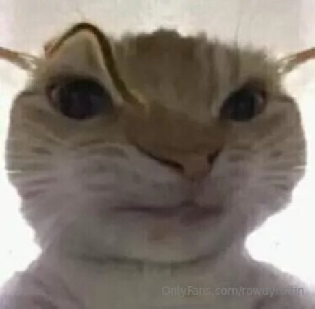 schwule dusche nur fans sexy akt bilder