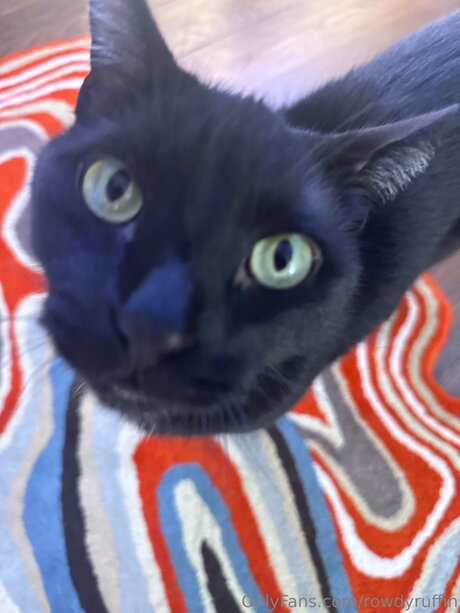 analer orgasmus nur fans nacktheit xxx galerie