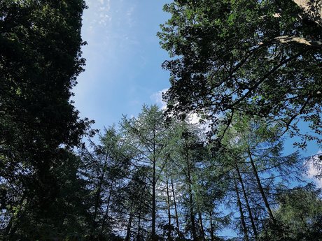 Samara_ pornostar akt fotos