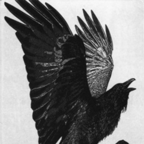 Doom heiße schöne bilder