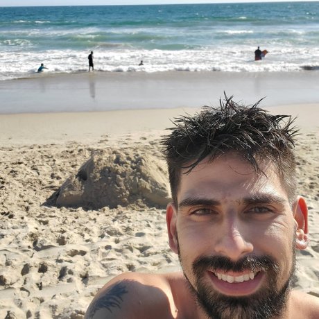 Sandwhale schöne foto