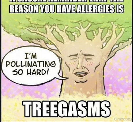 onlyora hübsche pornostar bild