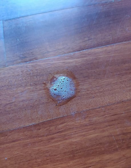 kurviges mädchen von nebenan nur fans heiße hd galerie