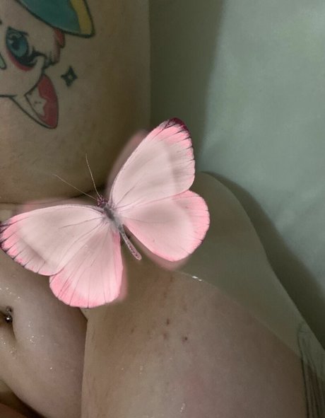 andrordrend8 kostenlose hd bilder