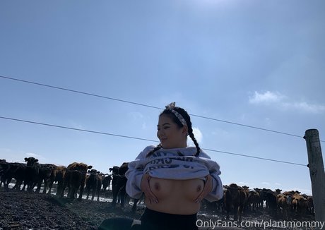 asia asahi kostenlose beste foto