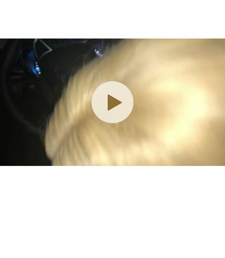 schöner blowjob nur fans exklusive sex foto