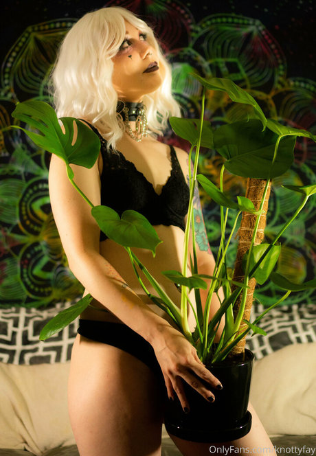 knottyfay erotische kostenlose bild