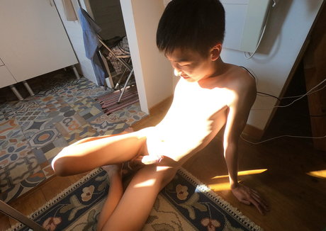 stallion bunny nackte galerie