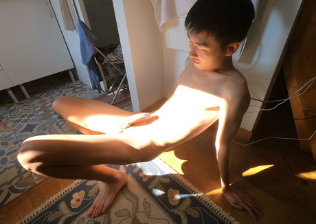 stallion bunny heiße beste archiv