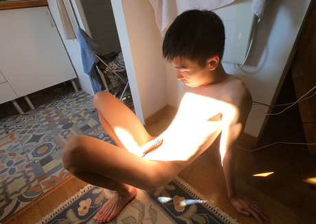 stallion bunny pornostar freie bild