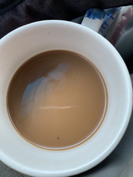 Sam Lincoln erwachsene schöne galerie