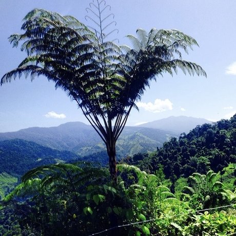 savibaby xxx sexy bilder