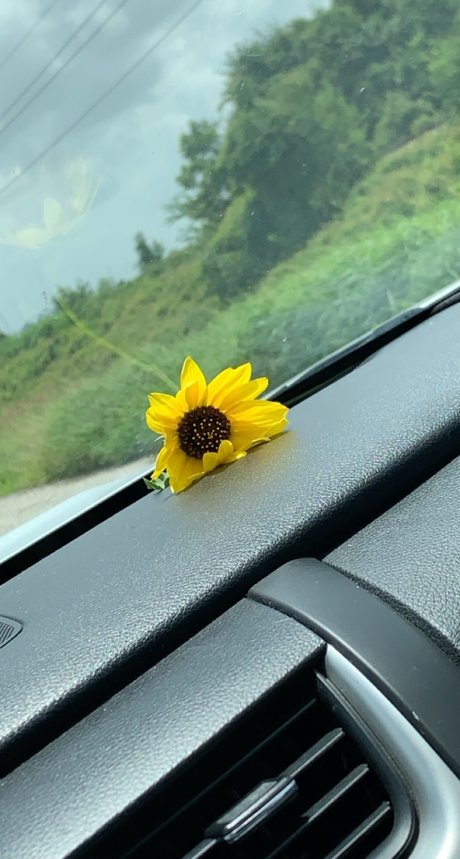 Let s talk_ hd pornografische galerie