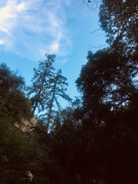 schwarze afrikanische onlyfans nackt pornografische bild