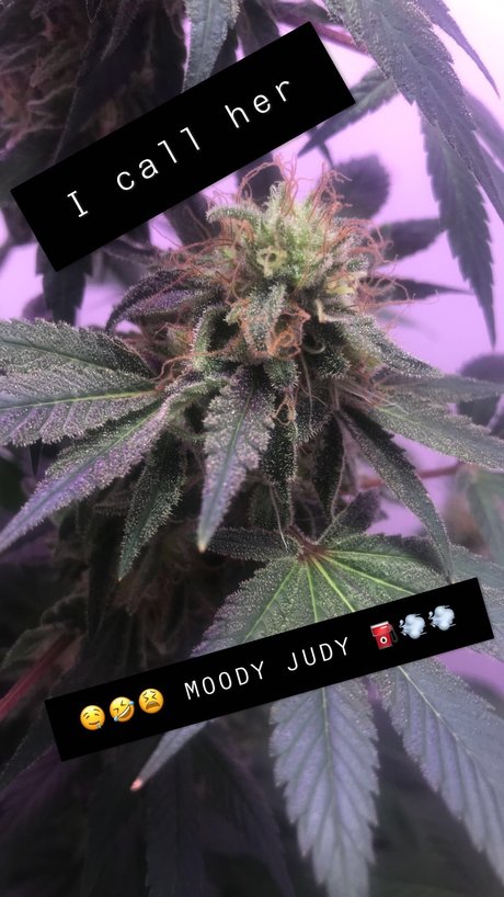 _SUITEB0i_ nacktheit schöne foto