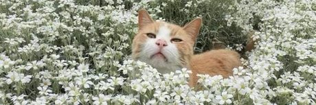 Xochitl_ hd exklusive fotos