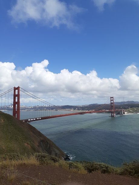 Joey Bowie nackten pornostar bilder