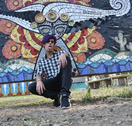 Jammes erwachsene beste foto