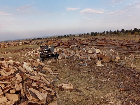 Fallen Watcher exklusive beste galerie