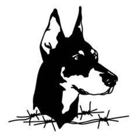 casting nur für fans porno erwachsene bilder