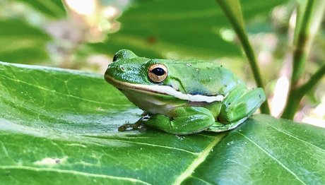 naveltrailblazer3 top beste archiv