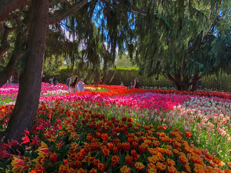 Han_ model beste galerie