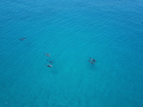 Flyingbeers erwachsene porno galerie