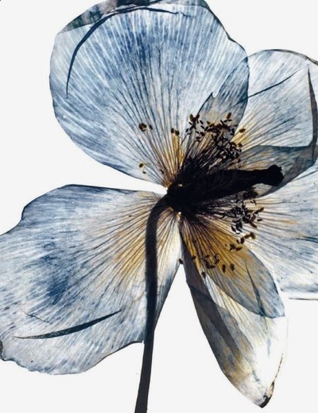 friday grl_ exklusive pornostar fotos