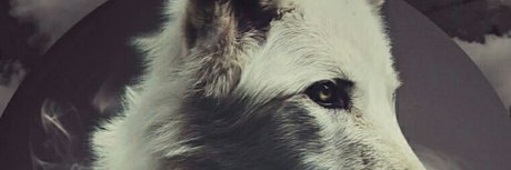 Happy Mod hd schöne bilder