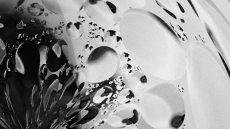 crossfit onlyfans perfekte bild