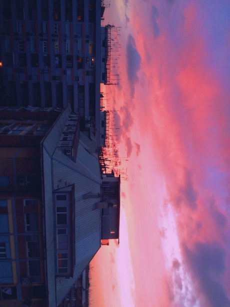 Lim n Miau kostenlose pornostar galerie