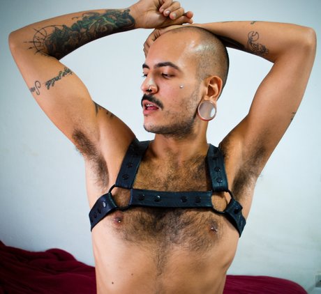 MIKA porno sexy galerien