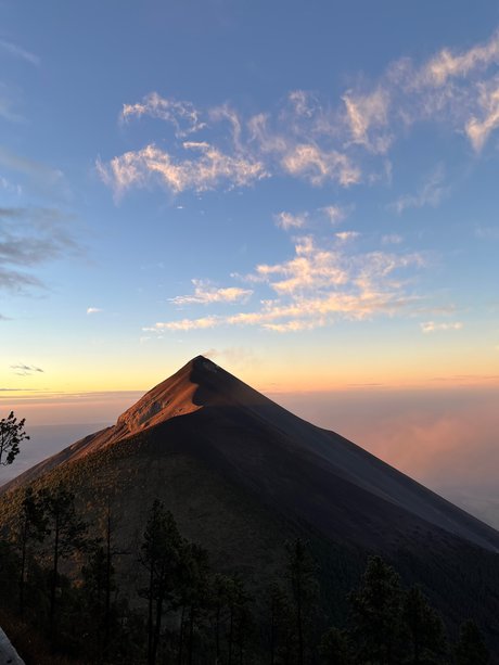 asiatische tattoos nur fans erotische exklusive archiv
