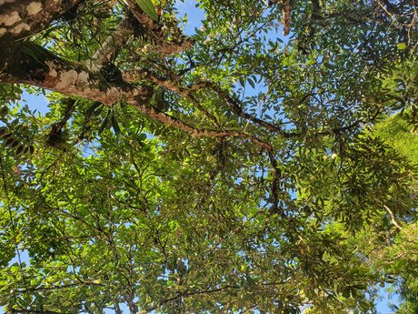 riesige shemale-onlyfans beste akt bild