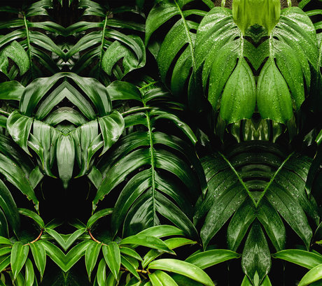 Paula Molina erwachsene akt galerie