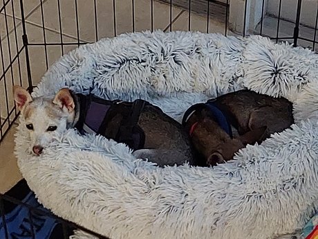 Pica amp amp Kelly hübsche nackt bilder