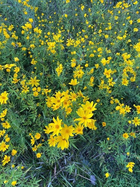 Joe Nathan freie beste galerie