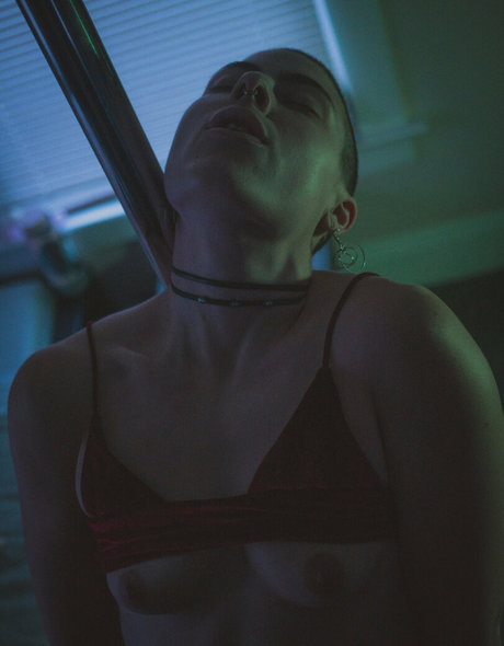 opal lilly onyx schauspielerin erwachsene archiv