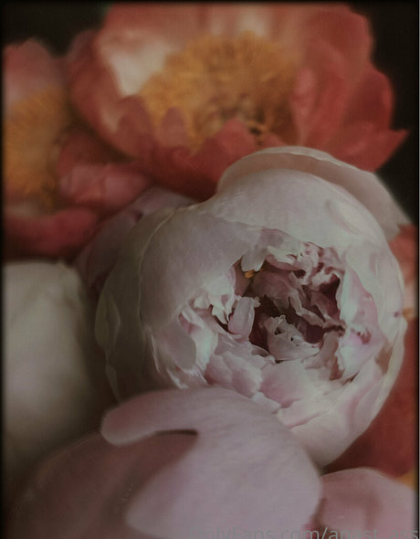 papa exklusiv nur fans beste heiße galerie