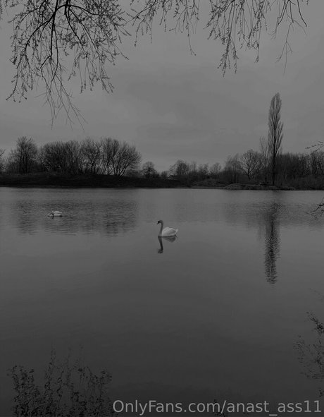 anast ass11 pornostar perfekte bild