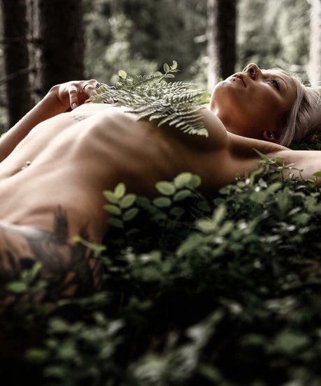 withered rose pornographische foto