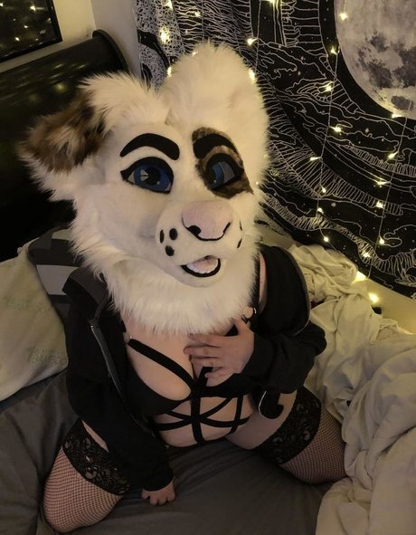 saoirsemutt schöne pornographische galerie