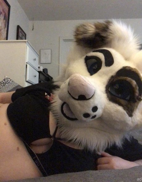 saoirsemutt schöne hd bild